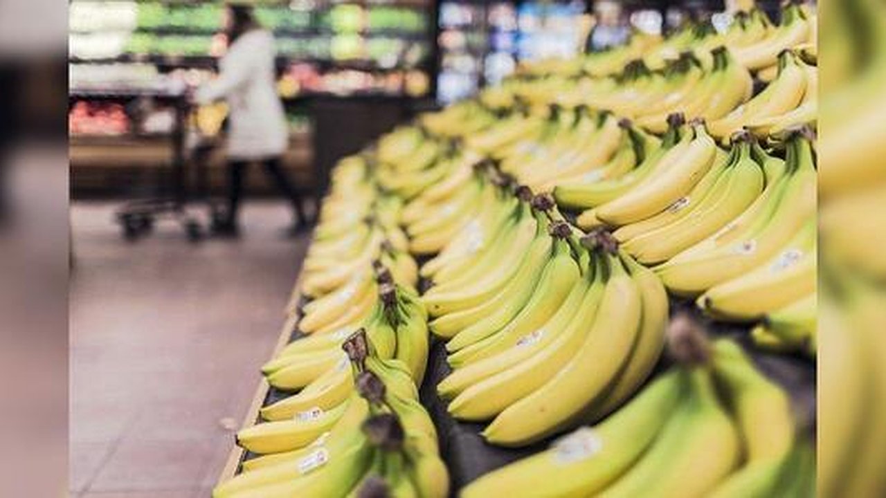 Главная картинка новости: Врачи рассказали, как обезопасить себя от вирусов во время походов в магазин за продуктами