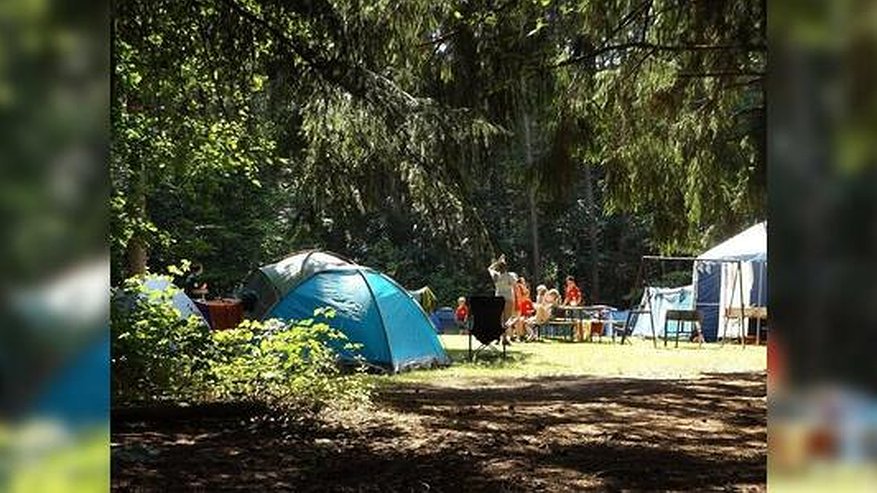 Главная картинка новости: Власти Екатеринбурга собираются отменить первую смену в детских лагерях