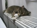 В Екатеринбурге отопление отключат раньше срока