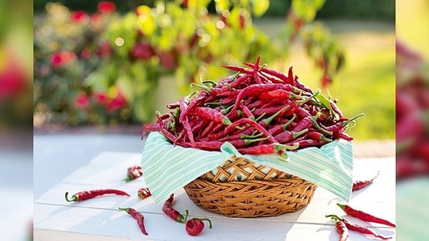 Главная картинка новости: Диетологи рассказали, что острые блюда помогают похудеть