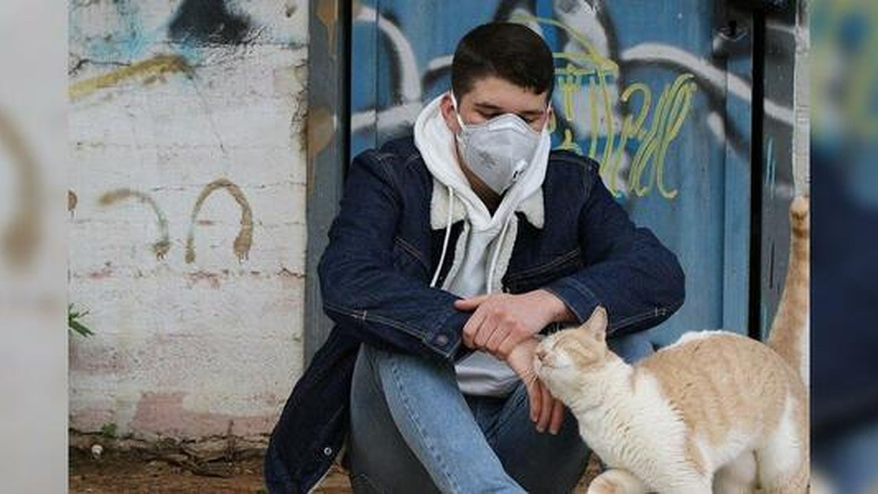 Главная картинка новости: На Урале выписали из больницы еще одного заразившегося коронавирусом