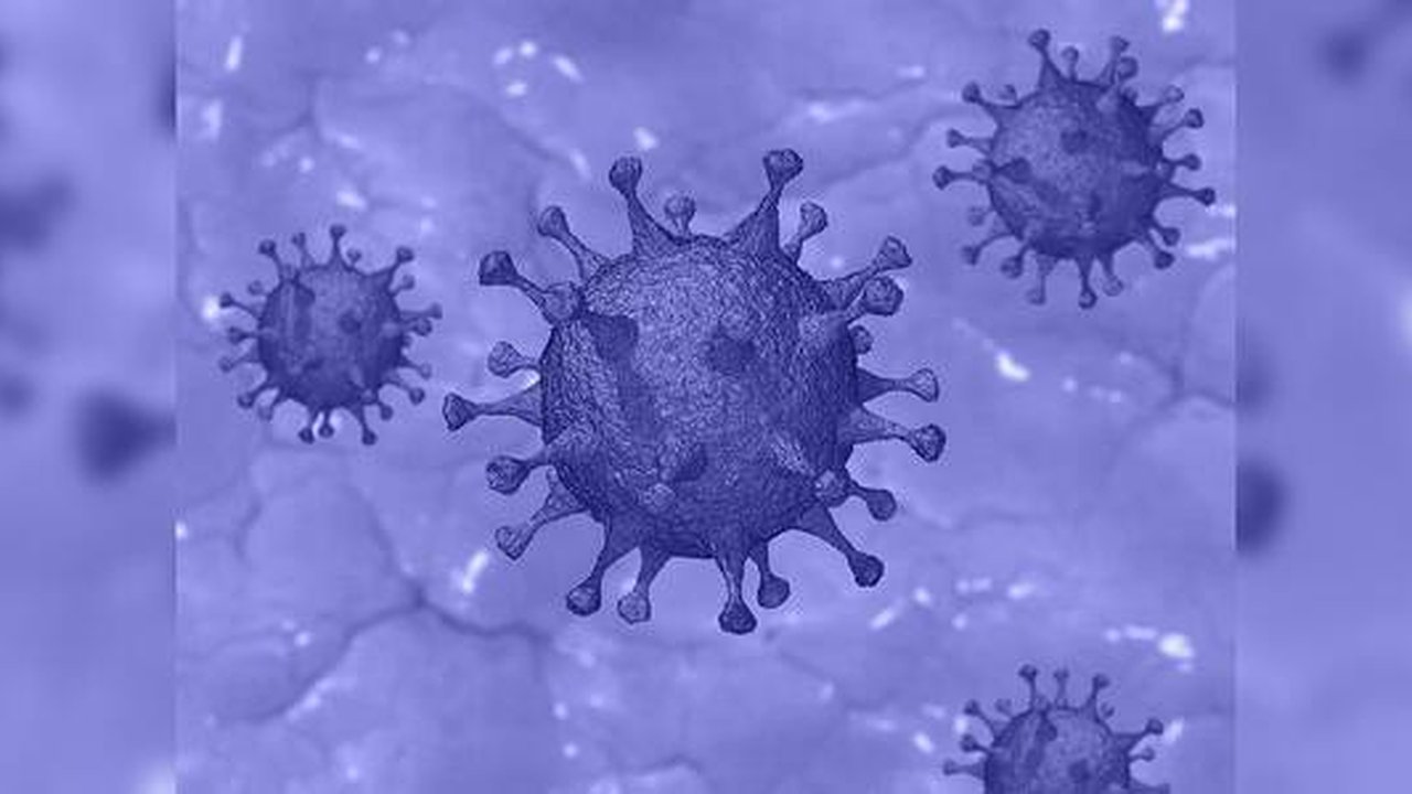 Главная картинка новости: Екатеринбуржцы не хотят прививаться от COVID-19 в торговых центрах