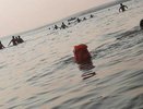 "Не успели спасти": в Верх-Исетском пруду утонул мужчина