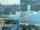 На Городском пруду у Макаровского моста расползлось огромное масляное пятно