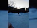 Новогодний позитив: на Эльмаше заметили лису - 2 января 2014 года