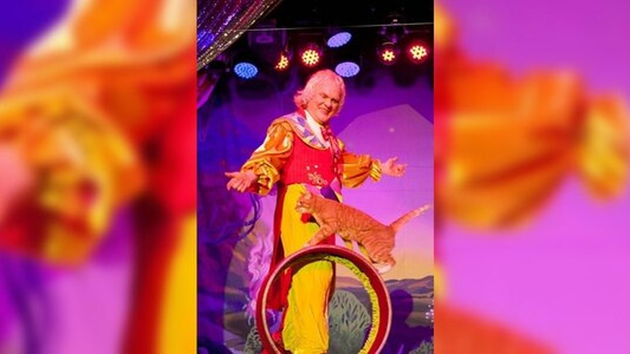 Главная картинка новости: С 29 декабря по 5 января в Екатеринбурге выступает Юрий Куклачев и его «Театр кошек» ,  репортаж со спектакля «Лес чудес»