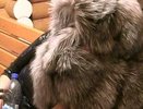 В бане Екатернибурга поймали пятерых проституток: среди них была школьница - фото 9 февраля 2015 года