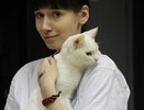 Выставка кошек «KISSточки» в Екатеринбурге - фото, видео - 15 февраля 2015