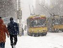 Новые остановки в Екатеринбурге: онлайн-табло на остановках появится в 2015 году