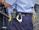 Житель Нижнего Тагила помог полиции задержать грабителя - 21 февраля 2015 года