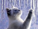 Погода с 24 февраля по 1 марта: На Урал идет потепление - февраль 2015