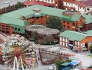 «День кошек» в зоопарке Екатеринбурга  - 28 февраля 2015 года