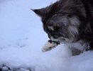 Погода в Екатеринбурге с 13 по 16 марта 2015 года