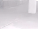 Видео расстрела туристов в музее Туниса «Бардо» - 18 марта 2015 года