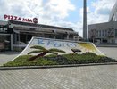 В Октябрьском районе Екатеринбурга появится трехметровый «Цветик-семицветик» - 1 апреля 2015 года