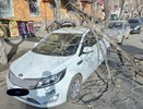 В Екатеринбурге на 8 Марта дерево упало на машину - фото и видео 2 апреля 2015 года