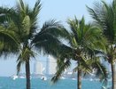 Труп россиянина с ножевыми ранениями обнаружен в отеле Таиланда - 6 апреля 2015 года