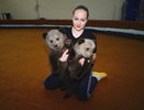 Медвежатам подкидышам дали имена в екатеринбургском цирке - апрель 2015 - фото, видео