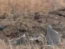На дачи Читы возле кооператива «Казачий Хутор» упало НЛО - 8 апреля 2015 года