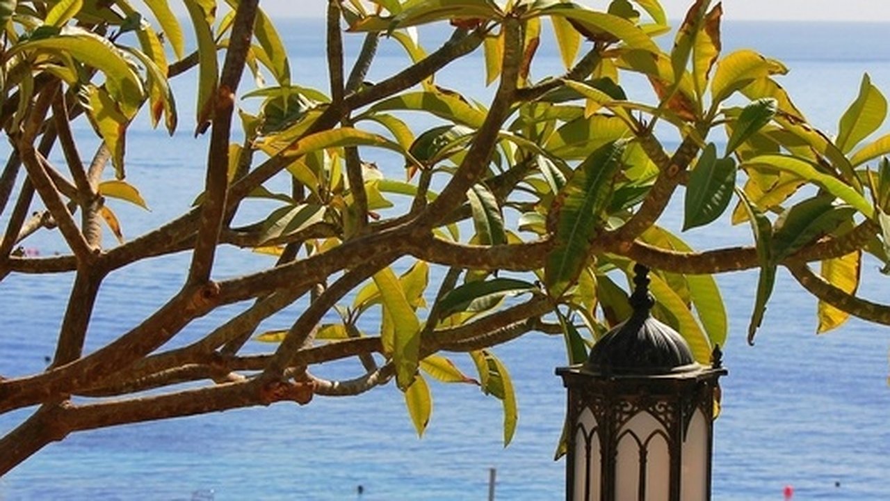 Главная картинка новости: Новая схема обмана туристов: в Хургаде россияне остались без денег и без паспортов - 12 мая 2015 года