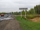 Под Тюменью дачник-живодер зарубил свою собаку прямо на глазах у детей и выбросил ее на помойку - 18 мая 2015 года