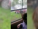 В Екатеринбурге на Уралмаше студентка торопилась на экзамены и попала в ДТП с трамваем - фото 19 мая 2015 года