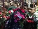 Похороны четверых детей священника Виталия Агошкова, отравившихся газом в деревне Красный Адуй - 22 мая фото и видео 2015 год