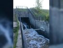 На Уктусе прыгнул в воду и пропал молодой екатеринбуржец: поиски начнутся только завтра - 26 мая 2015 года