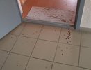Бунтарь-рецидивист из Узбекистана угрожал екатеринбургским сотрудникам УФМС покончить с собой  - и с ними - 11 июня 2015