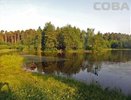 В Екатеринбурге в пруду утонул 11-летний мальчик - 20 июня 2015