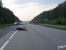 Под Первоуральском из-за столкновения на трассе погибли лось и водитель ВАЗа - 24 июня 2015
