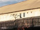 «Его избили, приехала скорая, погрузили на носилки лицом вниз»: заключенные колонии Невьянска рассказали, как убили их товарища - 3 июля 2015 года