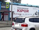 ДТП в Екатеринбурге: на улице Учителей автоледи сбила женщину на пешеходном переходе - 10 июля 2015