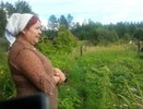 В Серове воры вскапывают огороды и уносят урожай ведрами - август 2015 года