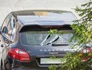 Мужчина, надругавшийся над машинами депутатов Заксобрания, останется под домашним арестом - 15 сентября 2015 года