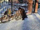 В Екатеринбурге на неделе с 9 до 15 ноября похолодает до минус 10 градусов, а в Свердловской области до минус 22 градусов