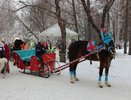 Чтобы сесть на лошадь, нужны будут права: новый закон вступит в силу в 2017