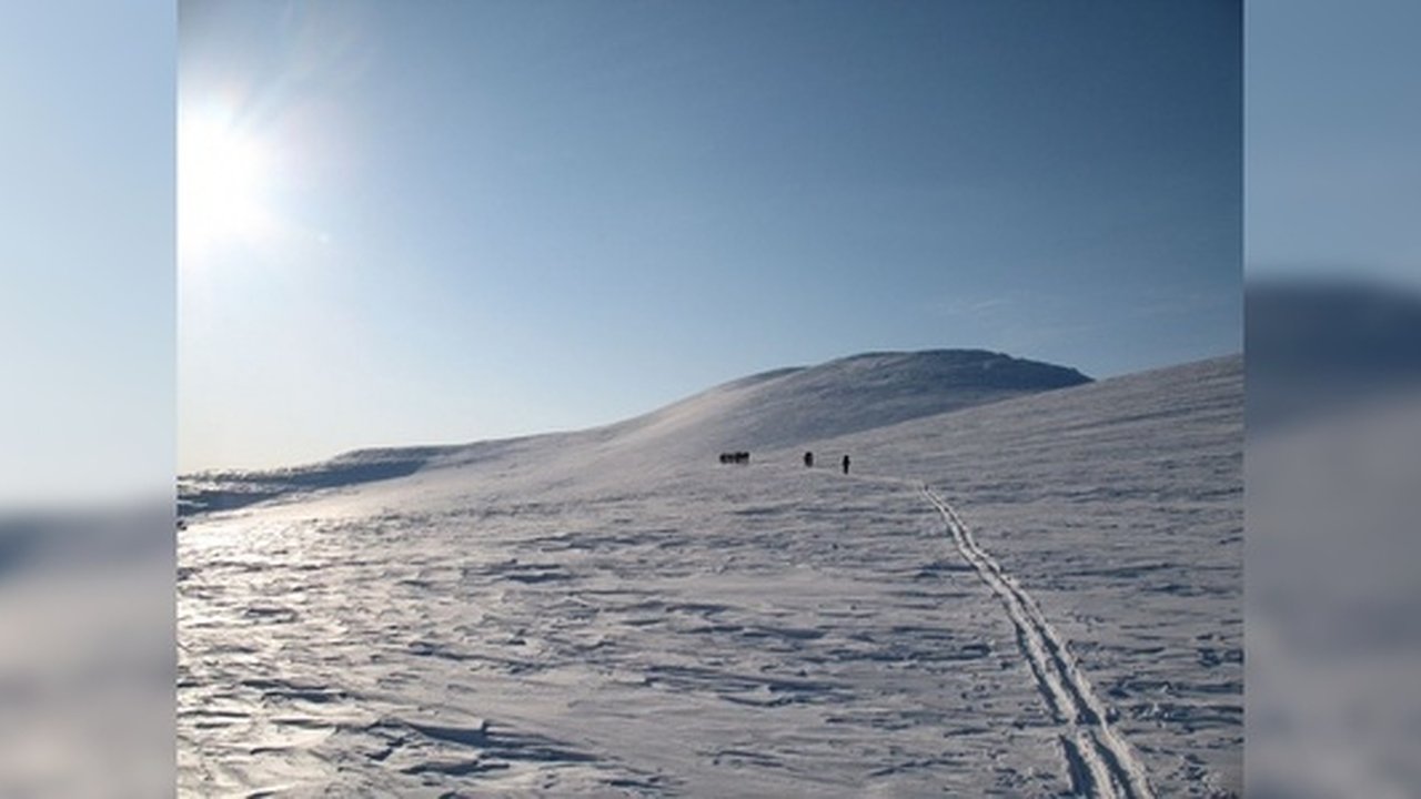 Главная картинка новости: Эксперты рассказали, чем перевал Дятлова привлекает туристов