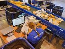На сайте Почты России появилась возможность отслеживать доставку писем