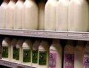 Производители молока предупредили о прекращении поставок в магазины из-за приказа Минсельхоза