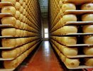 Россия возобновляет поставки сыров и мясной продукции из Европы