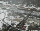 В зоне отчуждения Чернобыля начала увеличиваться численность диких животных