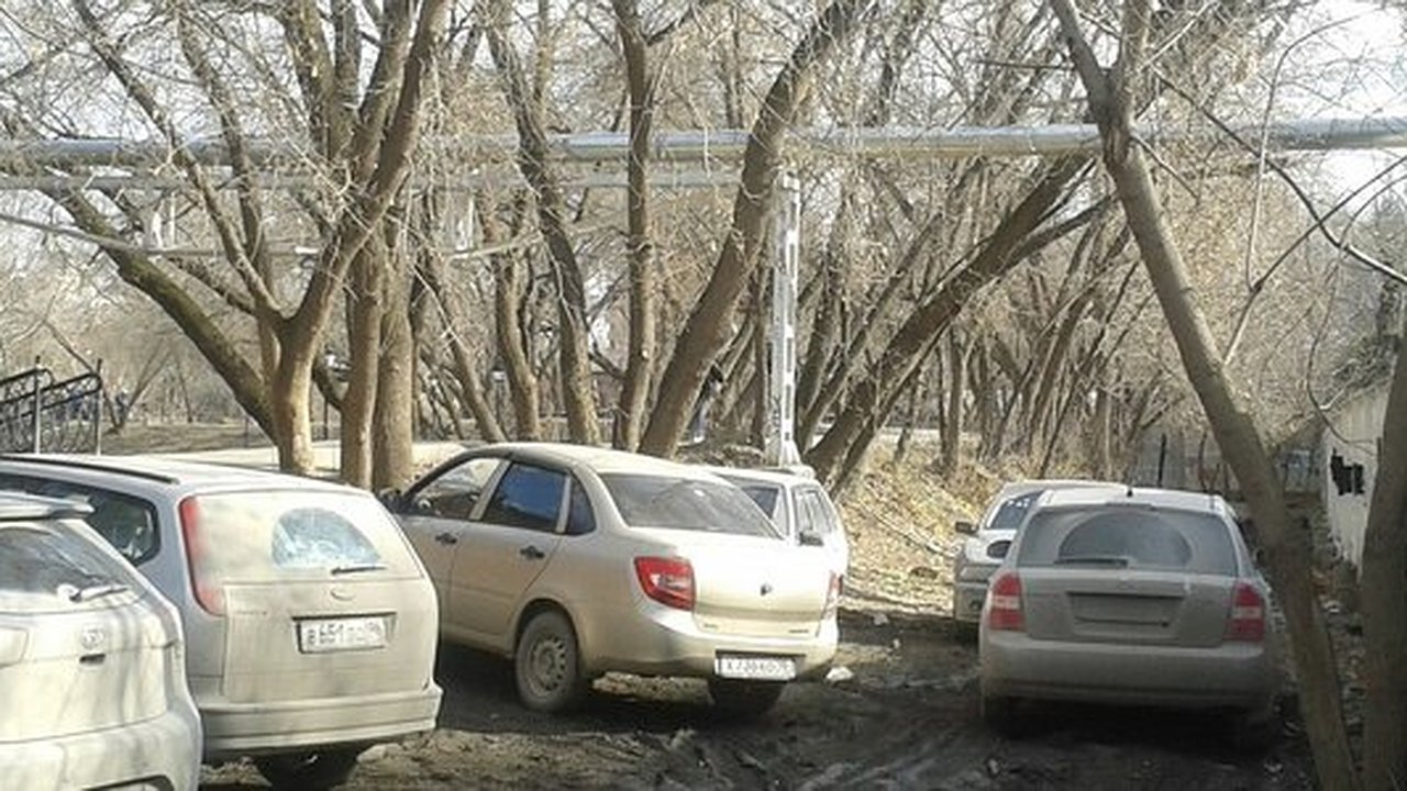 Главная картинка новости: Как наказать соседа за парковку на газоне в Екатеринбурге: помогаем бороться против «гряземесов»