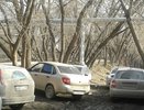 Как наказать соседа за парковку на газоне в Екатеринбурге: помогаем бороться против «гряземесов»