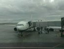 Зарубежные самолеты хотят заменить на российские, чтобы авиабилеты подешевели на 20 процентов