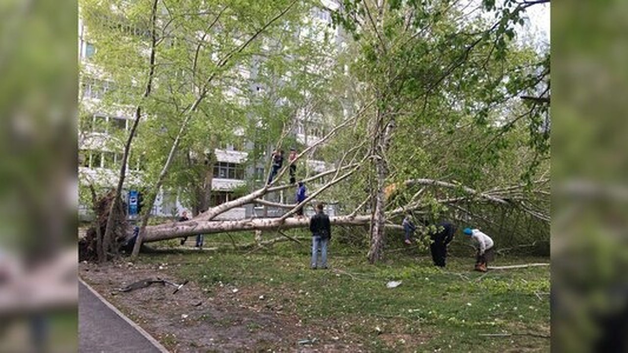 Главная картинка новости: МЧС предупреждает о непогоде в Екатеринбурге 23 июля