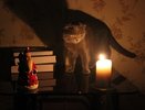 В Крыму отключили электричество – 20 мая 2016 года