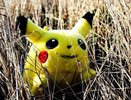 Психологи из Екатеринбурга высказались о ловле покемонов в Pokemon Go