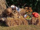 День осеннего равноденствия-2016 приметы, обычаи, традиции