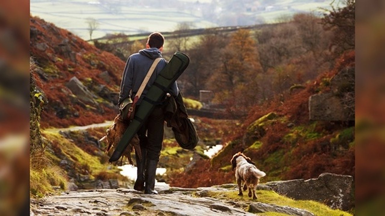 Главная картинка новости: В Свердловской области будут развивать трофейную охоту для иностранцев